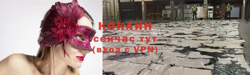 Кокаин Fish Scale  где можно купить наркотик  kraken зеркало  Лысково 